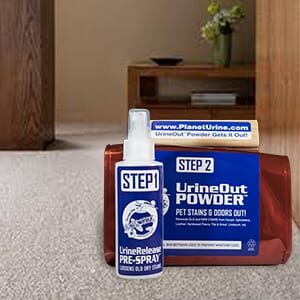 how to get dried dog poop out of carpet? - use UrineOut Powder!